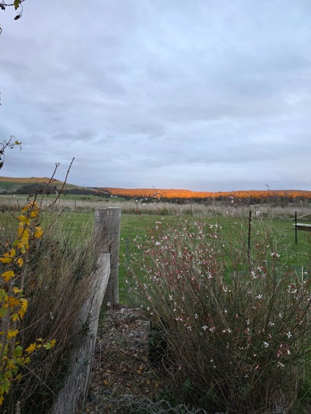 Country Stay